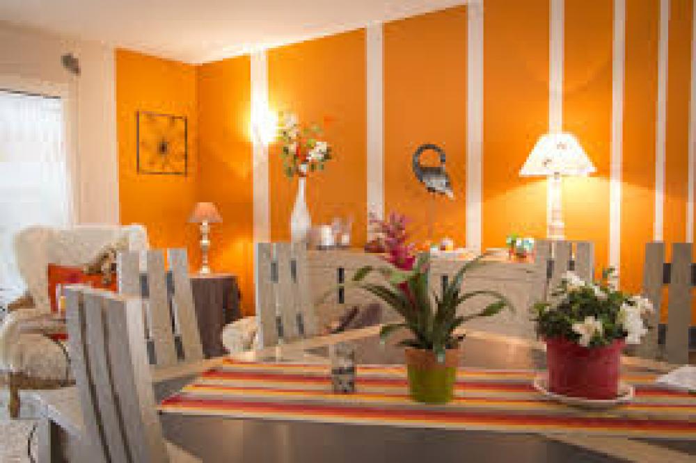 rénovation maison 